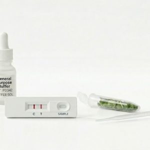 Viren Schnelltest
